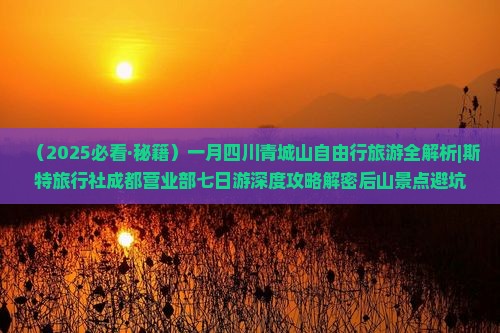 一月去四川青城山自由团