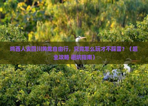 鸡西去四川黄龙个人游