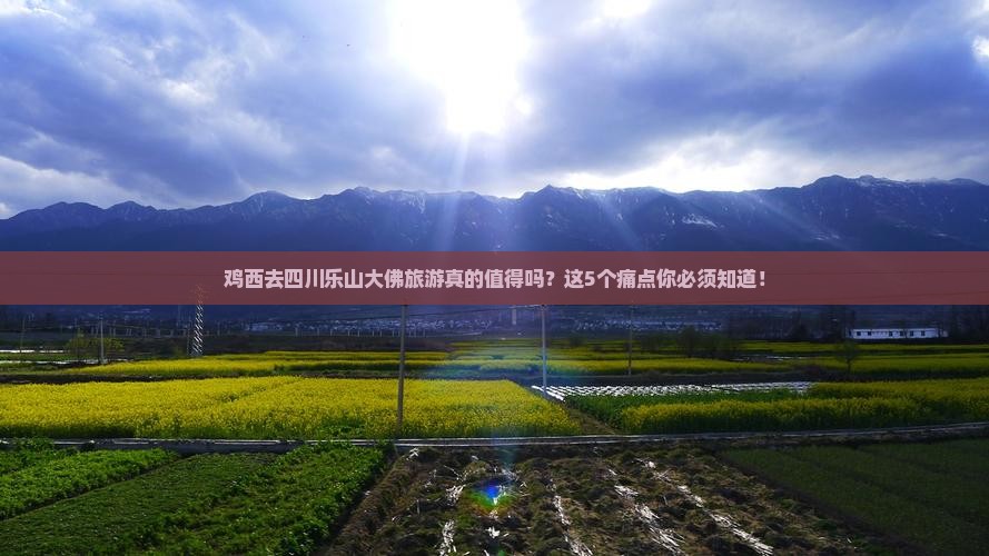 鸡西去四川乐山大佛旅游