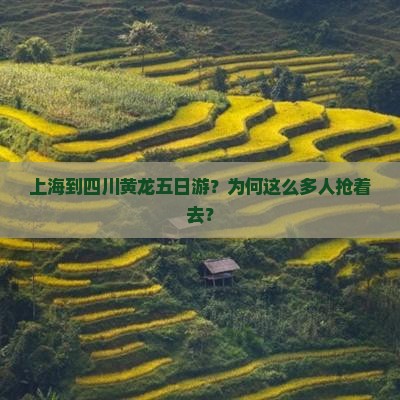 上海到四川黄龙五日游