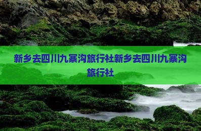 新乡去四川九寨沟旅行社