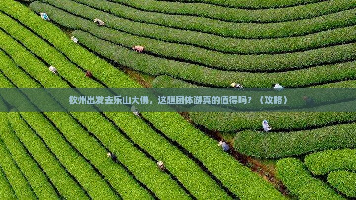 钦州到四川乐山大佛团体旅游