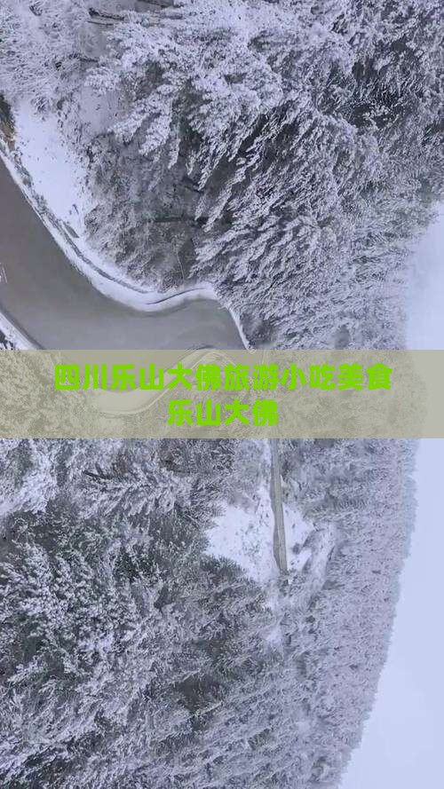 果洛去四川乐山大佛旅游小吃