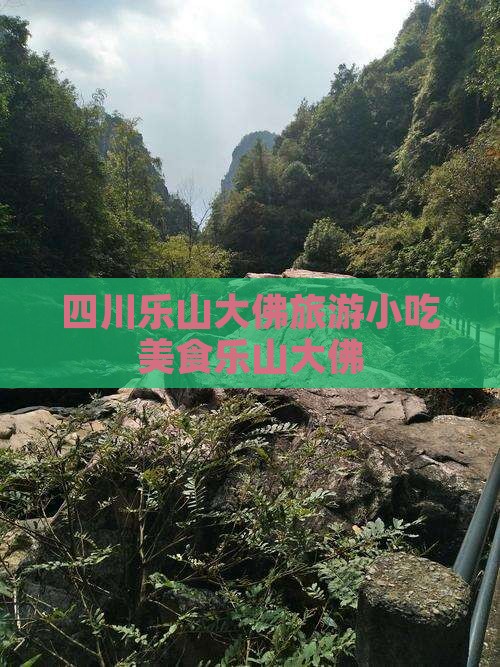 果洛去四川乐山大佛旅游小吃