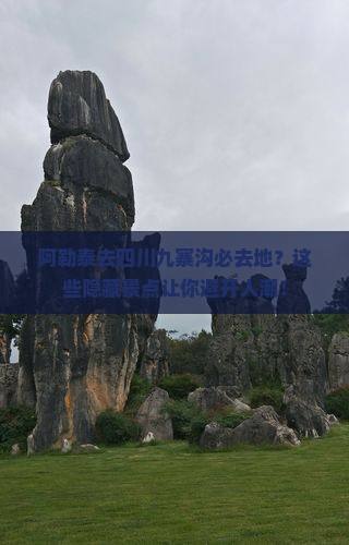 阿勒泰去四川九寨沟必去地