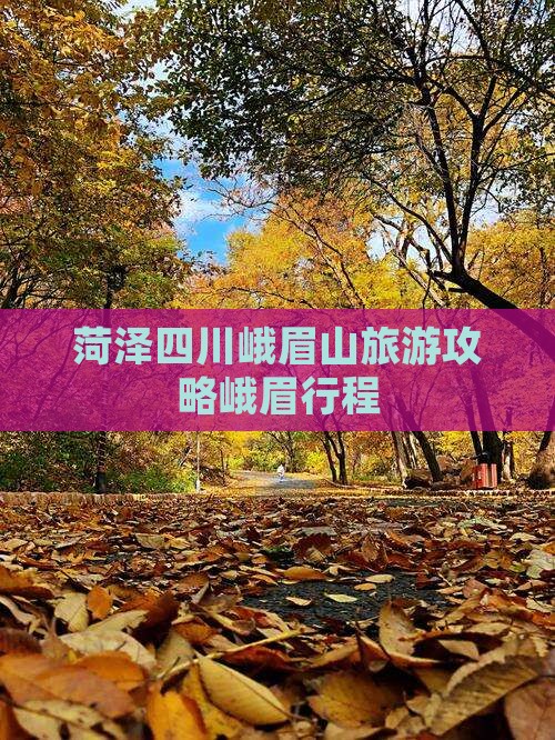 菏泽去四川峨眉山旅行社