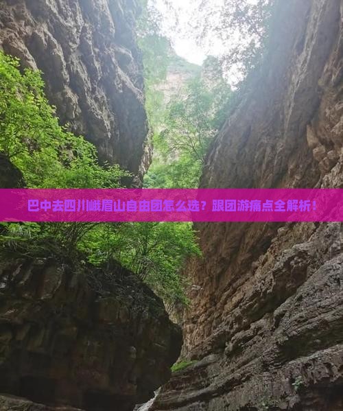 巴中去四川峨眉山自由团