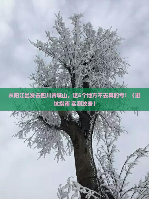 阳江去四川青城山必去地