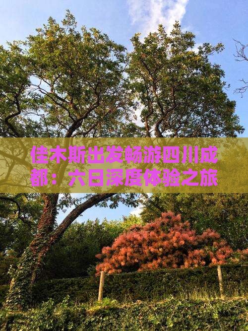 佳木斯出发畅游四川成都：六日深度体验之旅