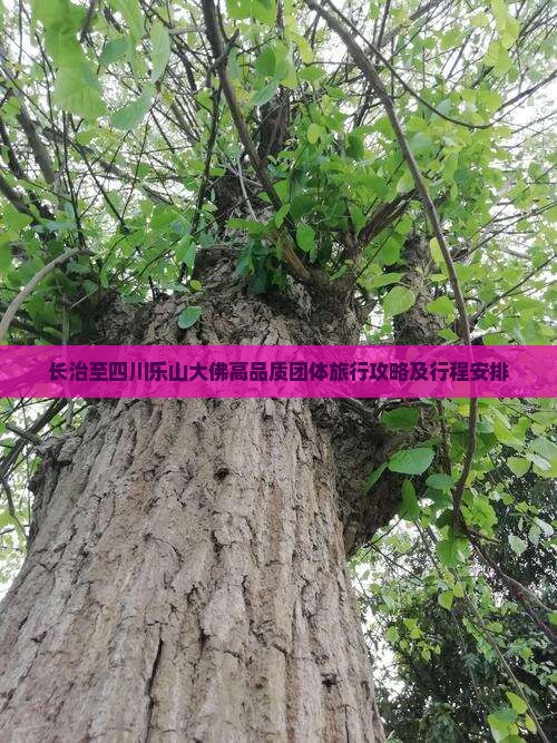 长治至四川乐山大佛高品质团体旅行攻略及行程安排
