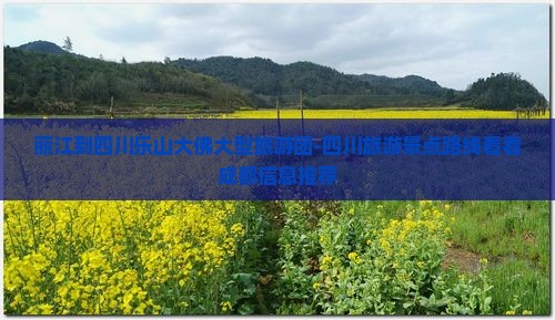 丽江到四川乐山大佛大型旅游团-四川旅游景点路线看看成都信息推荐