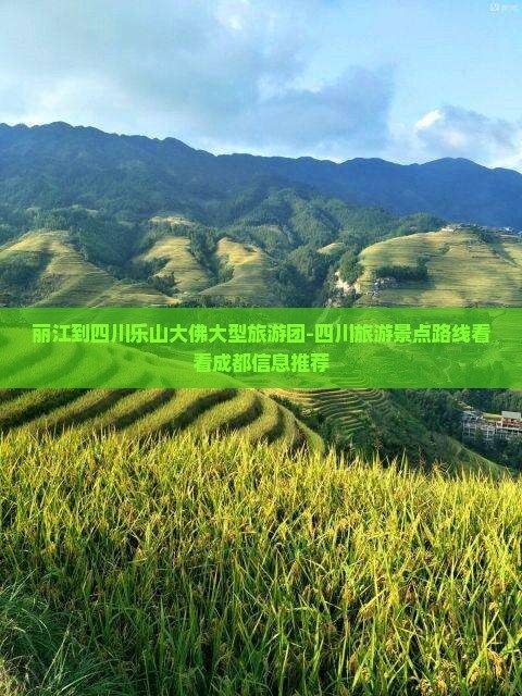 丽江到四川乐山大佛大型旅游团-四川旅游景点路线看看成都信息推荐