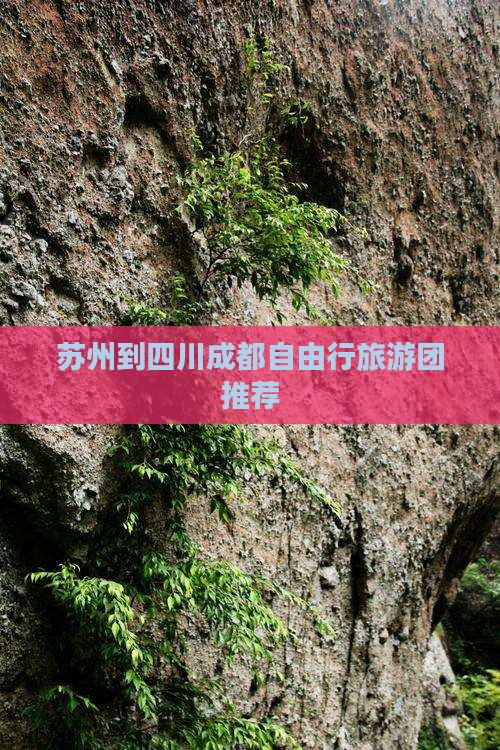 苏州到四川成都自由行旅游团推荐