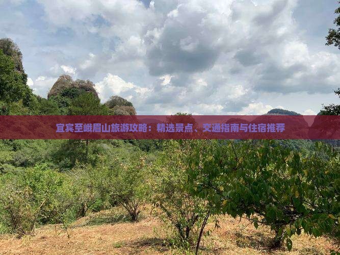 宜宾至峨眉山旅游攻略：精选景点、交通指南与住宿推荐