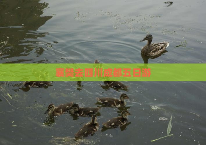 襄樊去四川成都五日游