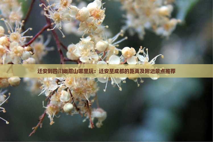 迁安到四川峨眉山哪里玩:迁安至成都的距离及附近景点推荐 迁安到四川峨眉山哪里玩:迁安至成都的距离及附近景点推荐