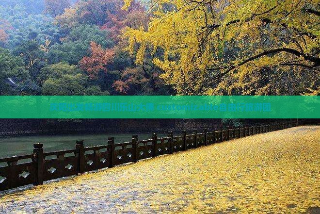 庆阳出发畅游四川乐山大佛 customizable自由行旅游团
