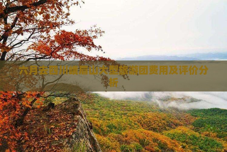 六月去四川峨眉山大型旅游团费用及评价分析