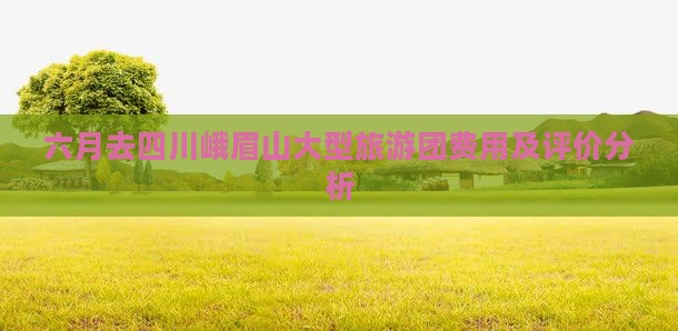 六月去四川峨眉山大型旅游团费用及评价分析