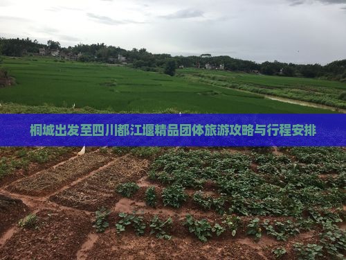桐城出发至四川都江堰精品团体旅游攻略与行程安排