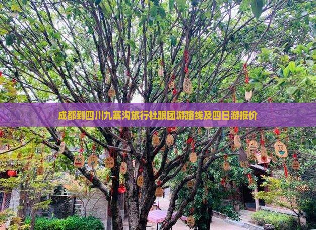 成都到四川九寨沟旅行社跟团游路线及四日游报价