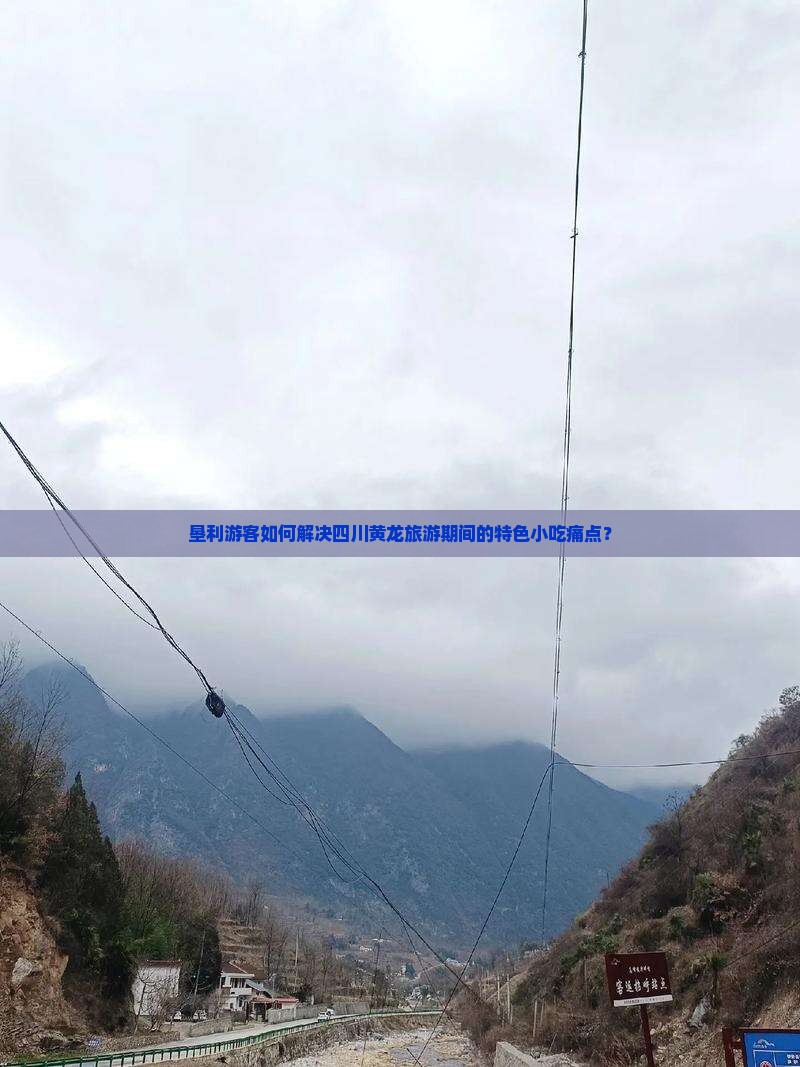 垦利游客如何解决四川黄龙旅游期间的特色小吃痛点？