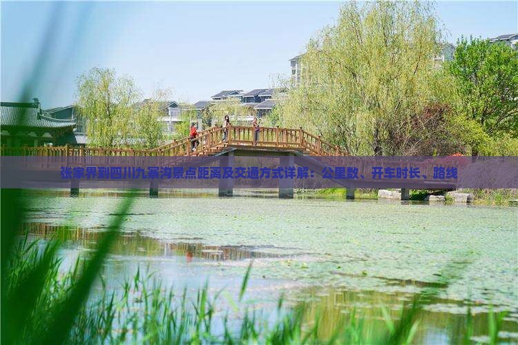 张家界到四川九寨沟景点距离及交通方式详解：公里数、开车时长、路线