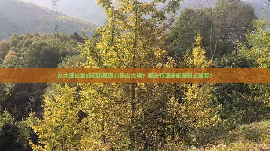 从大理出发如何游览四川乐山大佛？周边有哪些旅游景点推荐？