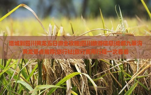 塔城到四川黄龙五日游全攻略|四川旅游信息|成都九寨沟黄龙景点推荐|旅行社|旅行费用行程一次看看