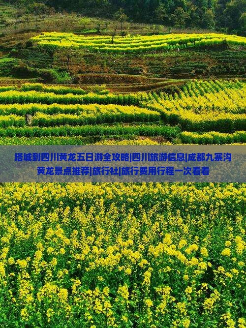 塔城到四川黄龙五日游全攻略|四川旅游信息|成都九寨沟黄龙景点推荐|旅行社|旅行费用行程一次看看