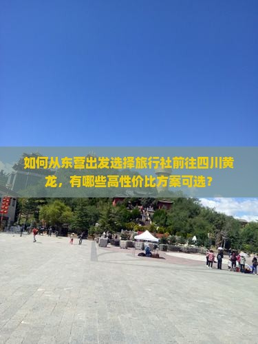 如何从东营出发选择旅行社前往四川黄龙，有哪些高性价比方案可选？