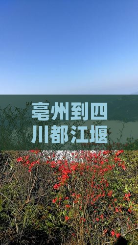 亳州到四川都江堰景区旅游景点门票攻略成都
