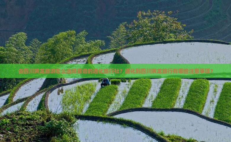 去四川黄龙旅游怎么选择靠谱的通化旅行社？通化到四川黄龙旅行有哪些注意事项？