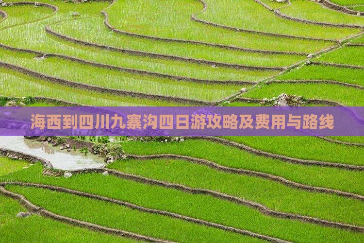 海西到四川九寨沟四日游攻略及费用与路线