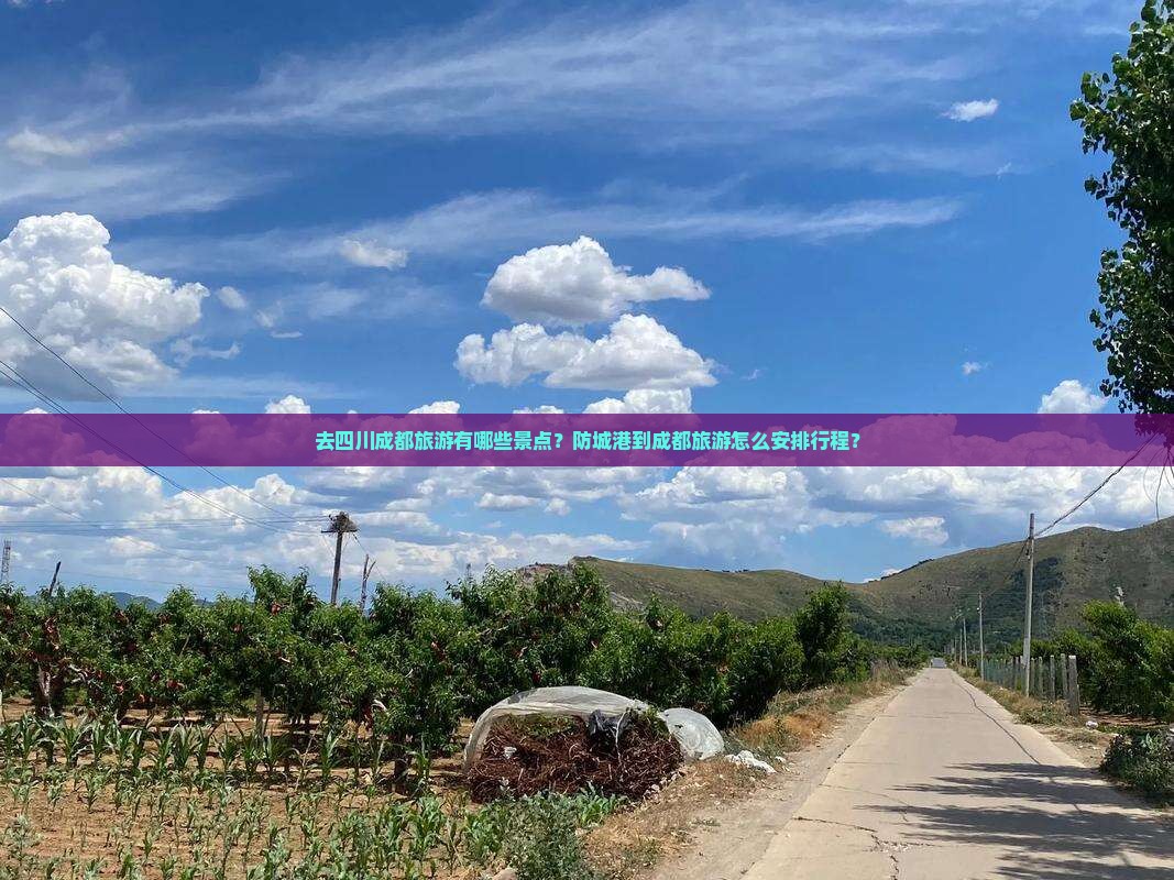 去四川成都旅游有哪些景点？防城港到成都旅游怎么安排行程？
