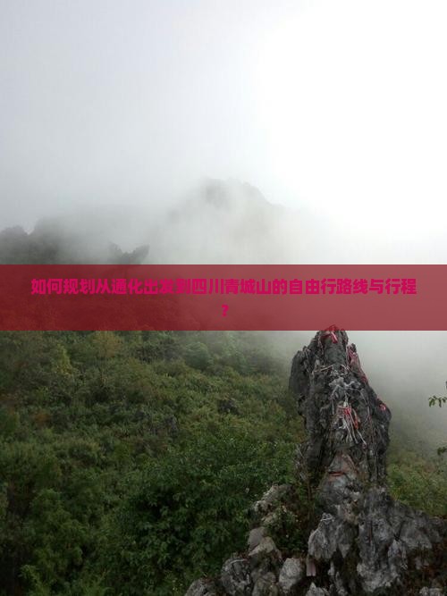 如何规划从通化出发到四川青城山的自由行路线与行程？
