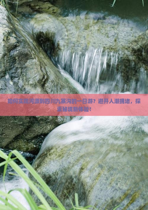 如何实现河源到四川九寨沟的一日游？避开人潮拥堵，探索秘境新体验！