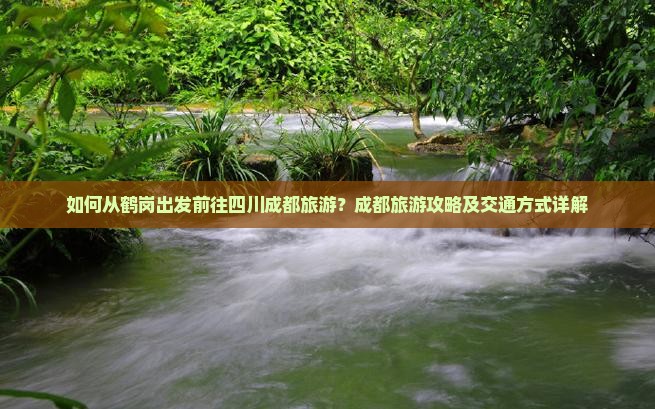 如何从鹤岗出发前往四川成都旅游？成都旅游攻略及交通方式详解
