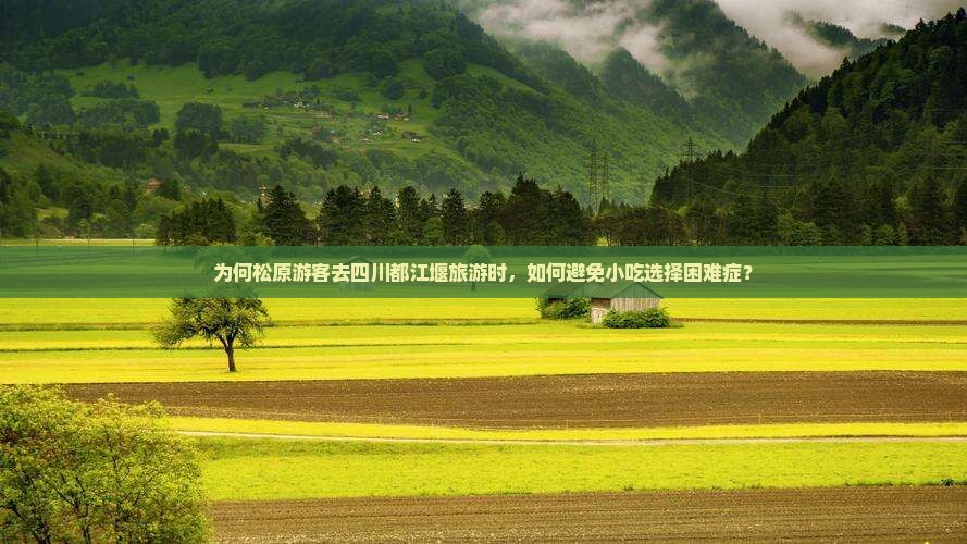 为何松原游客去四川都江堰旅游时，如何避免小吃选择困难症？