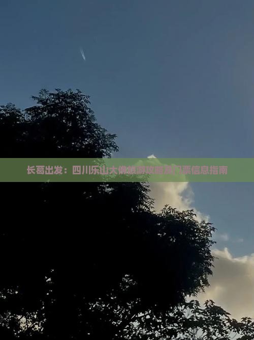长葛出发:四川乐山大佛旅游攻略及门票信息指南 长葛出发:四川乐山大佛旅游攻略及门票信息指南