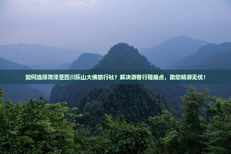 如何选择菏泽至四川乐山大佛旅行社？解决游客行程痛点，助您畅游无忧！