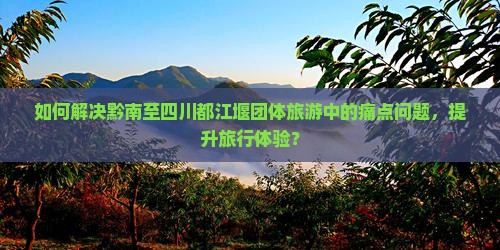 如何解决黔南至四川都江堰团体旅游中的痛点问题，提升旅行体验？