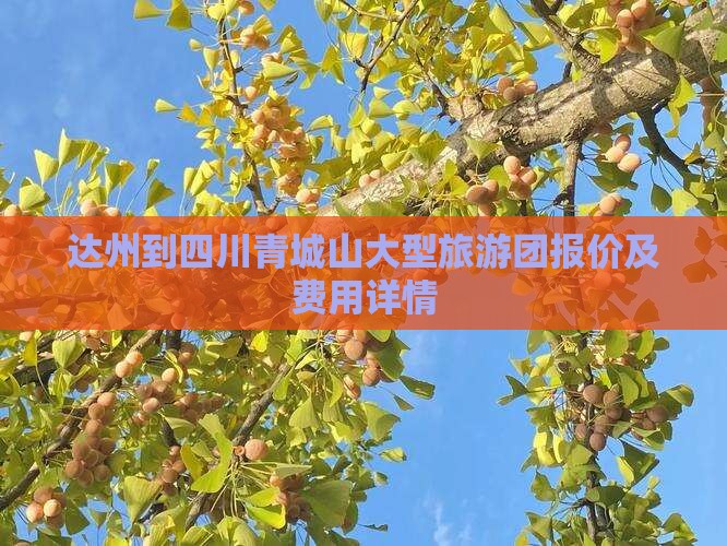 达州到四川青城山大型旅游团报价及费用详情