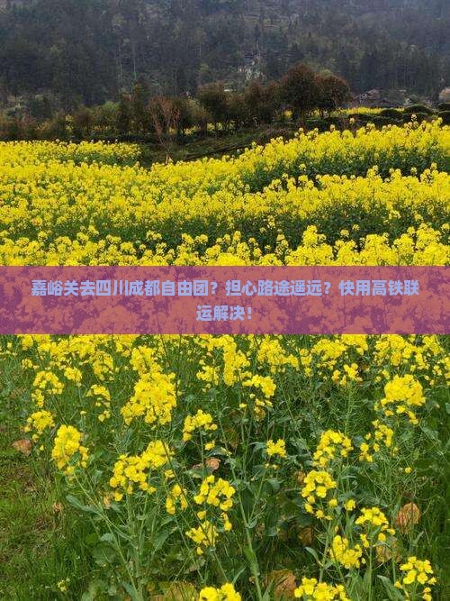 嘉峪关去四川成都自由团？担心路途遥远？快用高铁联运解决！