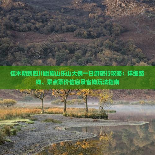 佳木斯到四川峨眉山乐山大佛一日游旅行攻略：详细路线、景点票价信息及省钱玩法指南
