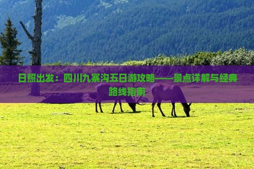 日照出发：四川九寨沟五日游攻略——景点详解与经典路线指南