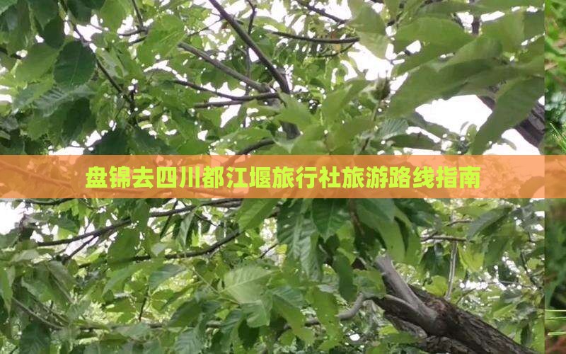 盘锦去四川都江堰旅行社旅游路线指南