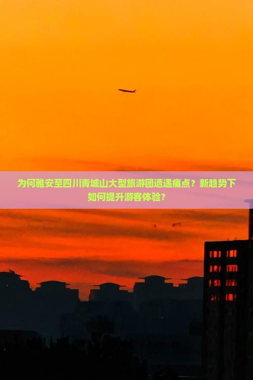 为何雅安至四川青城山大型旅游团遭遇痛点？新趋势下如何提升游客体验？