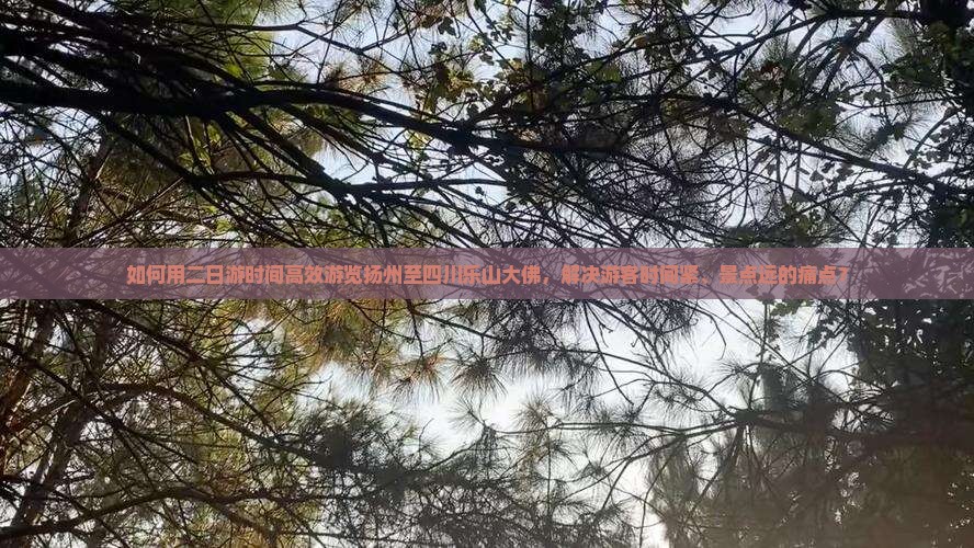 如何用二日游时间高效游览扬州至四川乐山大佛，解决游客时间紧、景点远的痛点？
