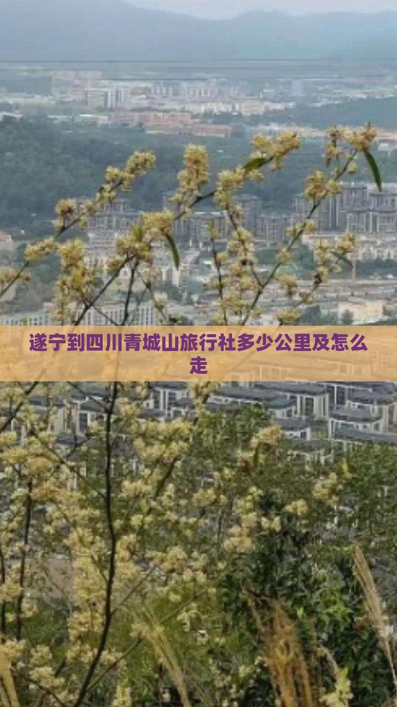 遂宁到四川青城山旅行社多少公里及怎么走